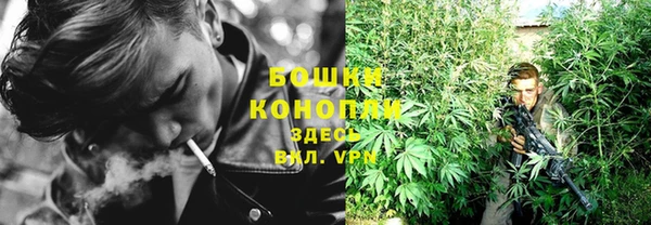 apvp Верея