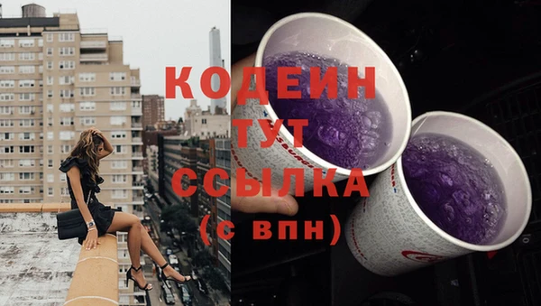 apvp Верея