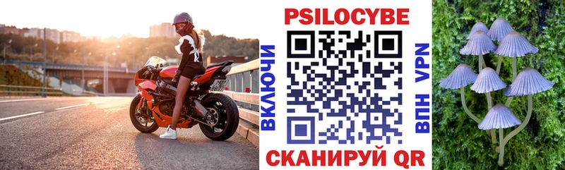Купить закладки  Вытегра  Псилоцибиновые грибы Psilocybe 