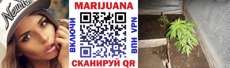Бошки Шишки планчик  Купить  Вытегра 